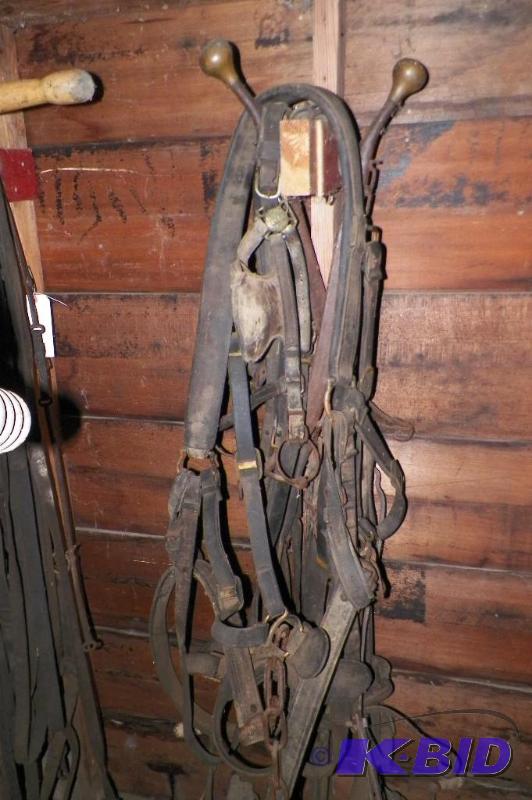 lot 77 image: Horse Harness