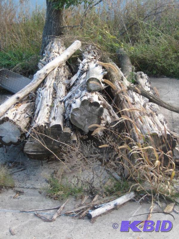 Cedar Logs (Perfect for ripping into lumber)