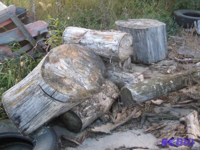 Stumps for Carving