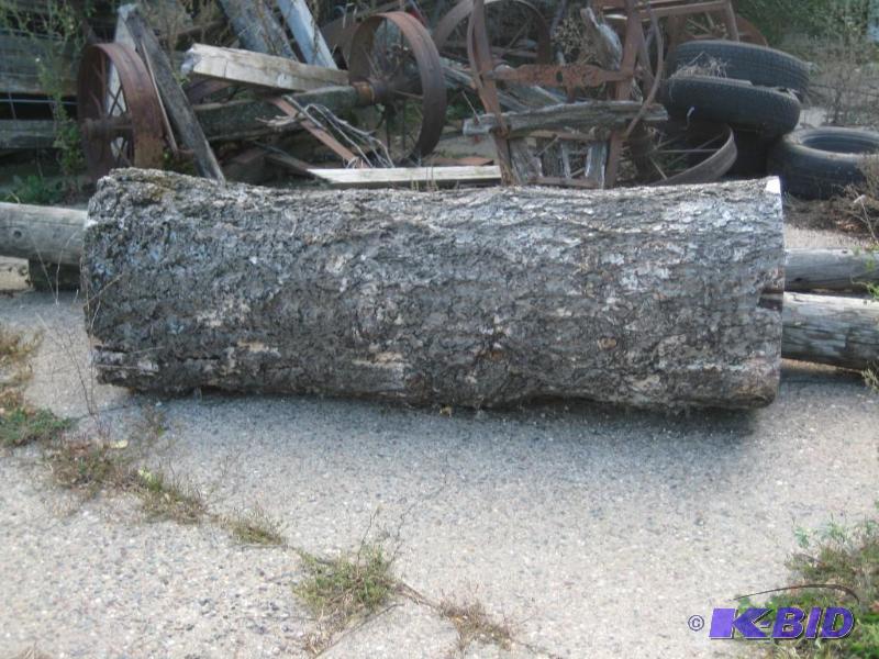 Massive Log (Rip for lumber)