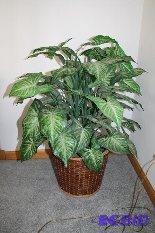 lot 81 image: Silk plant in basket 32" tall...