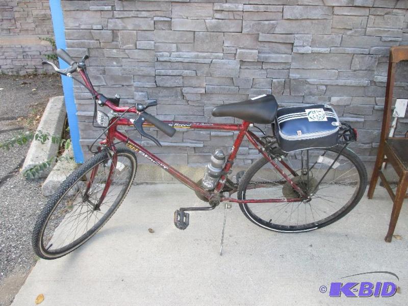 lot 163 image: Free Spirit 20" bike...