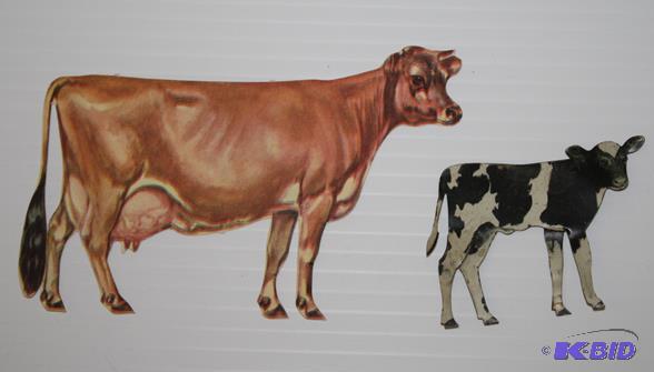 Rare Delaval advertising tin cow and calf. Th...