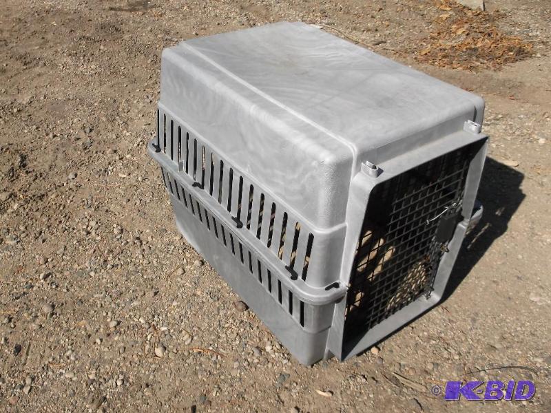 Used dog kennel, pet carrier