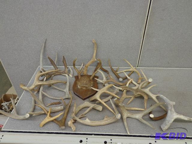 AntlersAntler Parts Box of Antlers and Antle...