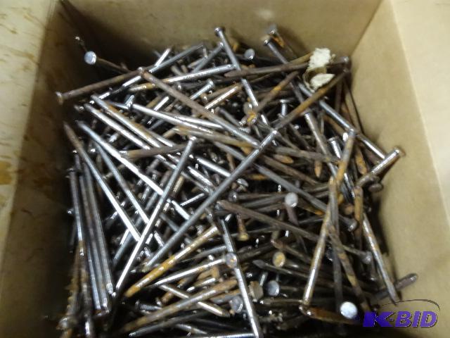 lot 255 image: new box of approximately 50 pounds 5 inch 40 ...