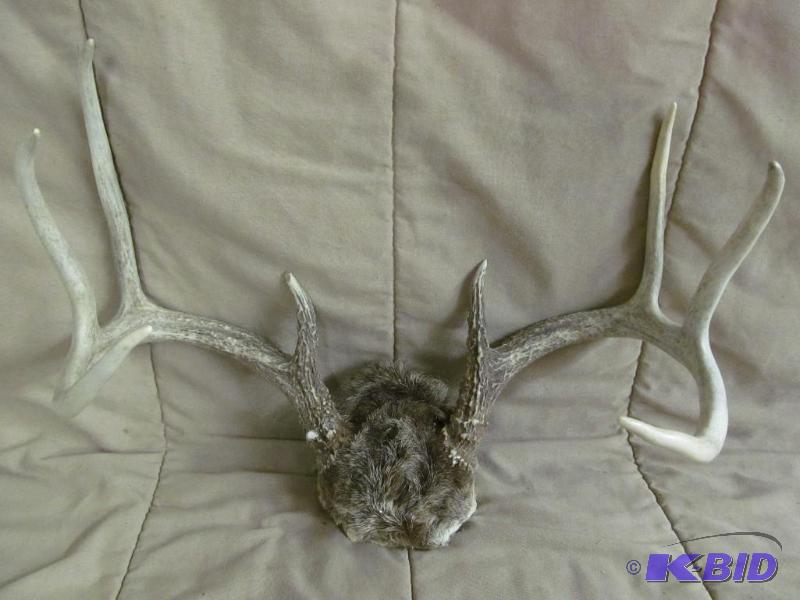 Antlers