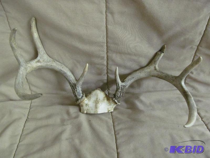 Antlers