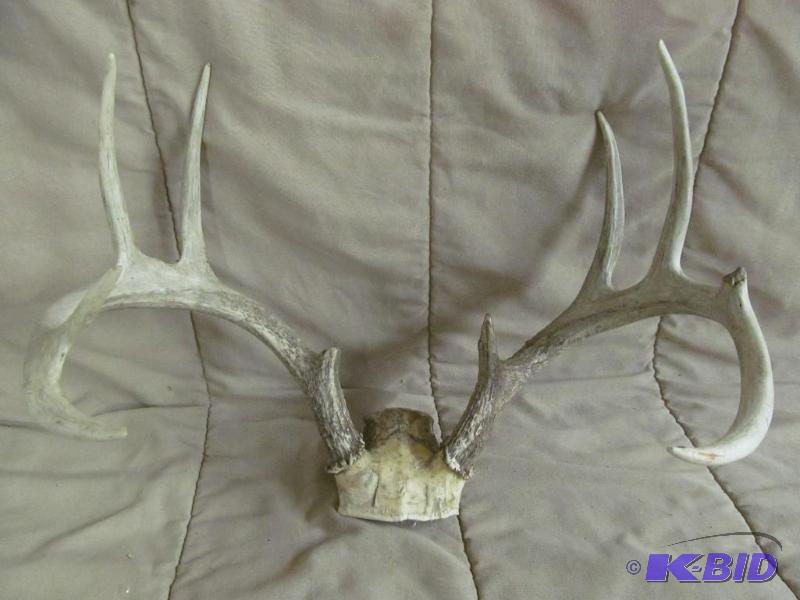 Antlers