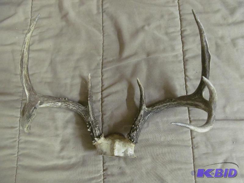 Antlers