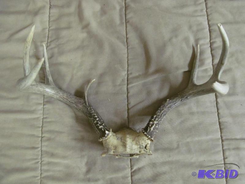Antlers