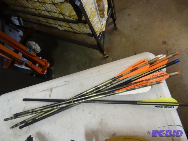 lot 294 image: 6 cross bow arrows. 2 are carbon. Others are ...