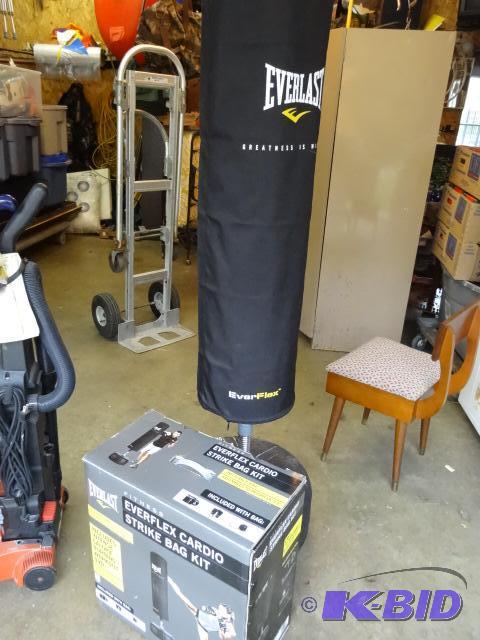 lot 349 image: Everflex cardio strike bag kit. Includes glov...