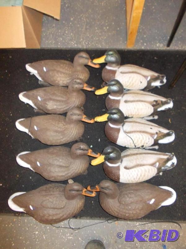 lot 3 image: Flambeau Decoys- 6 Hens, 4 Mallards...