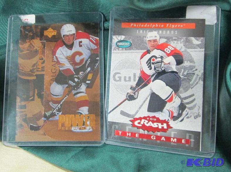 lot 14 image: Ottawa Senators Alexel Yashin you crash the g...