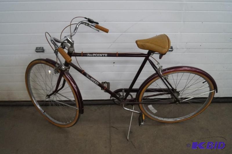 lot 16 image: Bay Pointe 3 speed bike