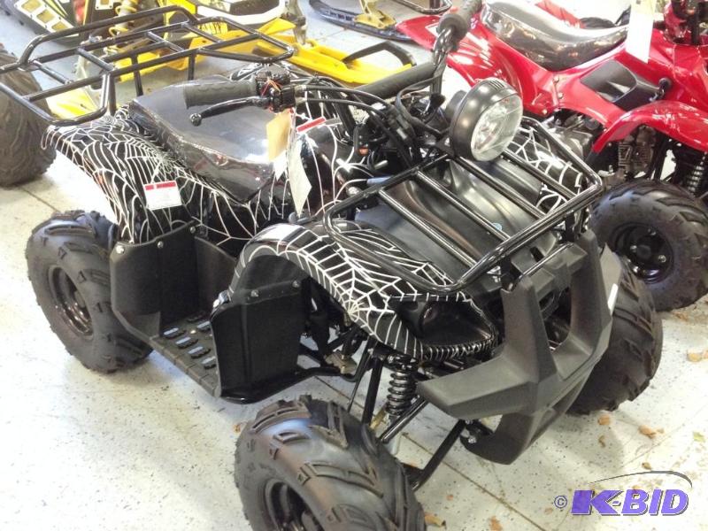 lot 2 image: 2014 TaoTao Youth 125cc ATV - Utility Version w Reverse