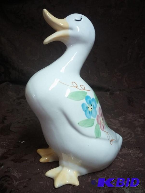 Duck