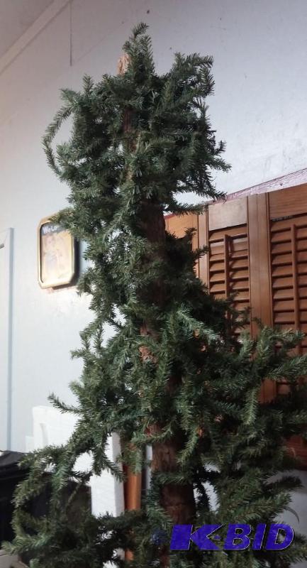 Pine Tree