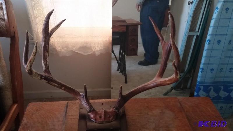 Antlers