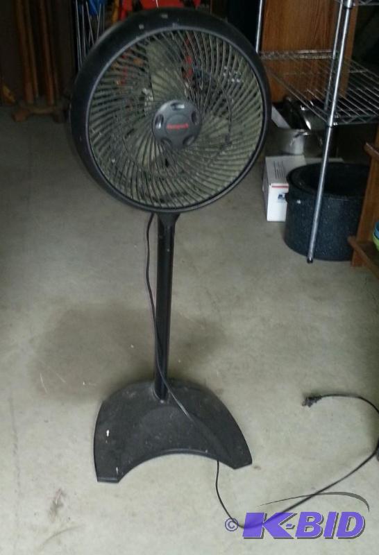 Fan