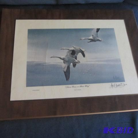 Kouba Snow Geese