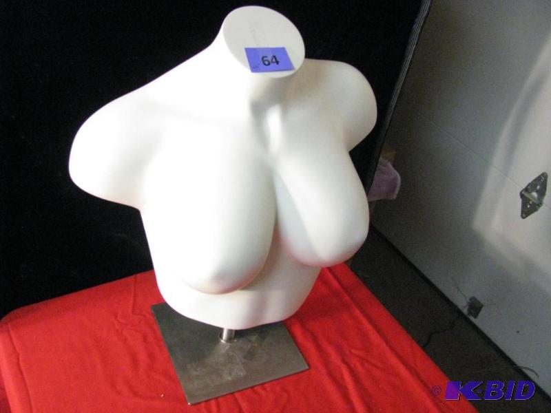 Body Form Display, neck to rib cage, , 44&quo...