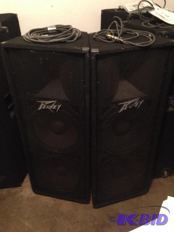 lot 48 image: (2) Peavey PV215 Speakers 1 has blown horn wi...