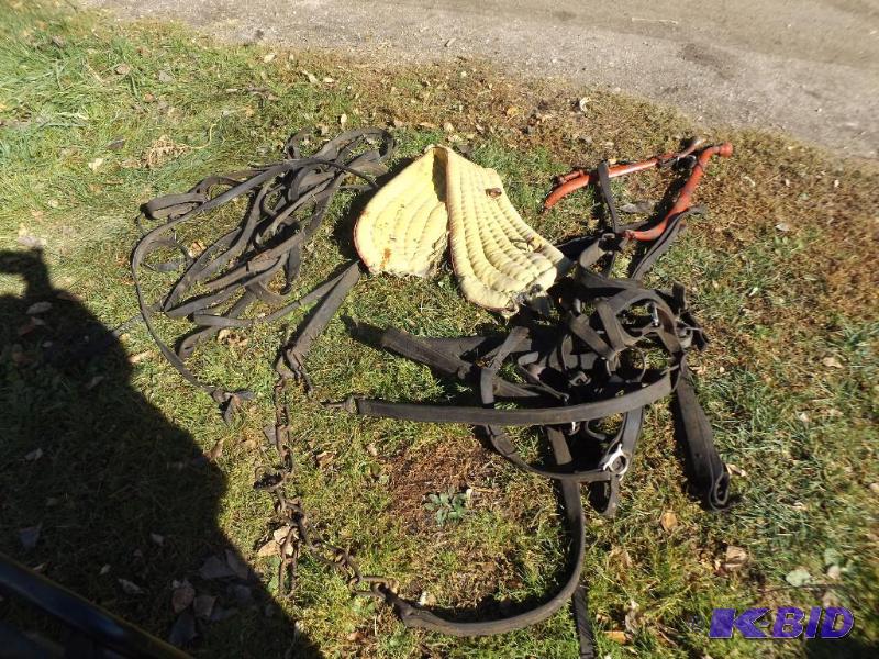 horse harnesses and straps and hames &nbsp...