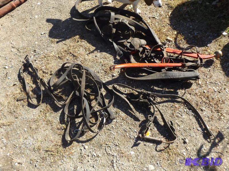 horse harnesses and straps and hames &nbsp...