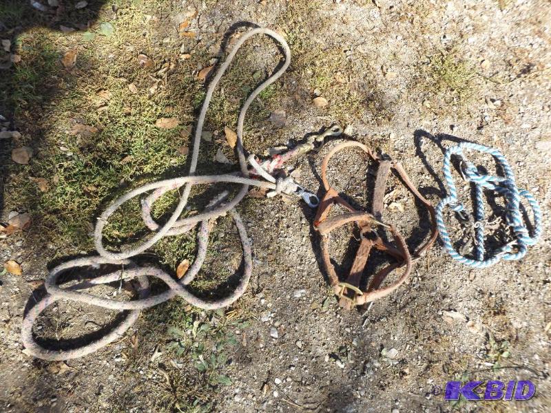 bridle and lead rope...