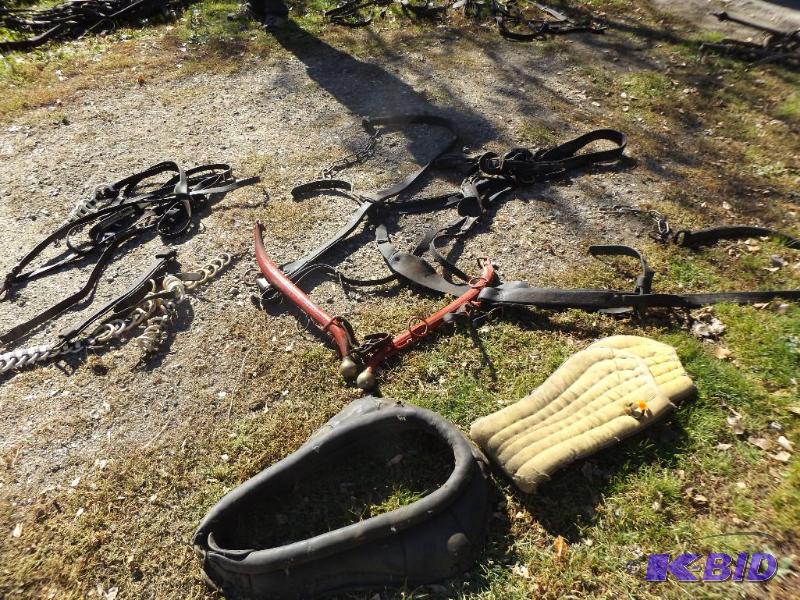 horse harness, straps and hames...