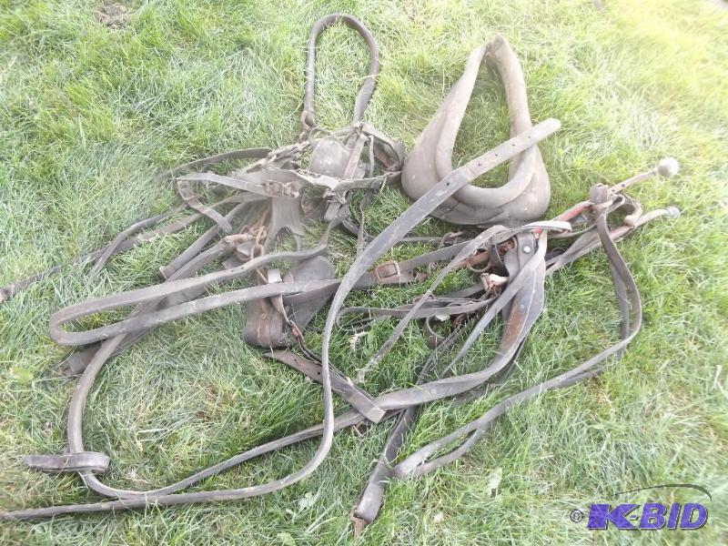 Horse harnesses, collars, straps and hames...