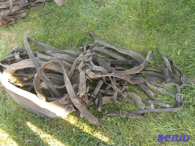 Old horse harnesses and straps and hames  &nb...