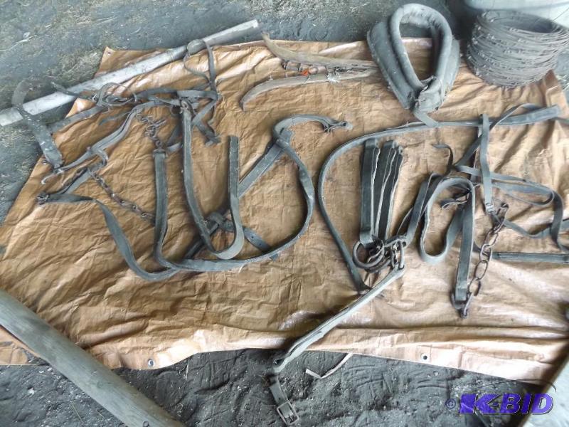 Old horse harnesses and straps and hames &nbs...