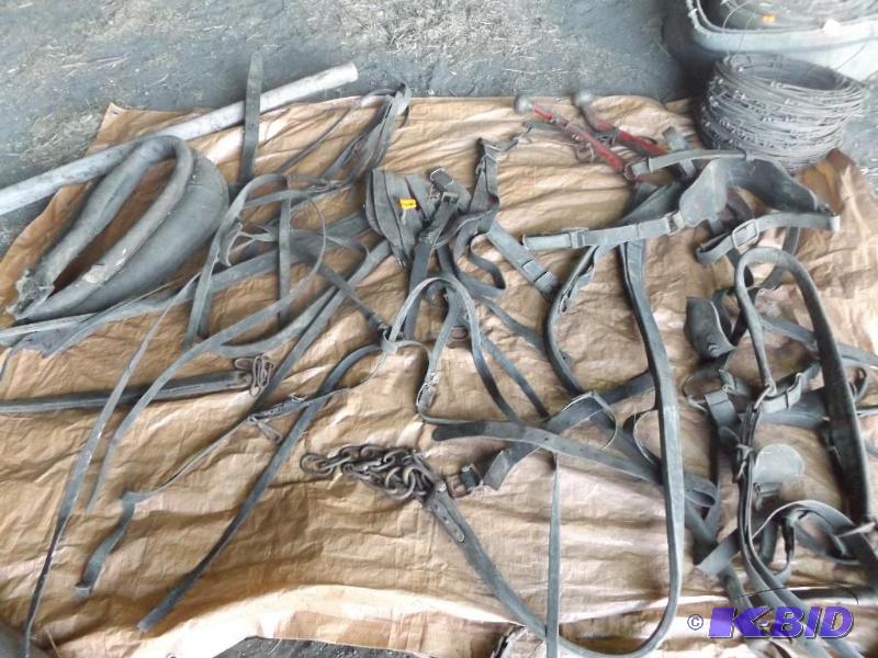 Old horse harnesses and straps and hames &nbs...