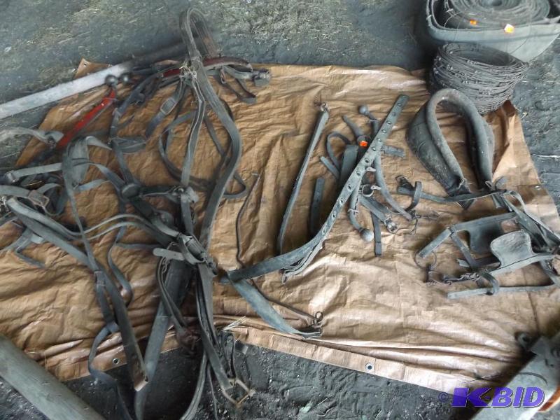 Old horse harnesses and straps and hames &nbs...