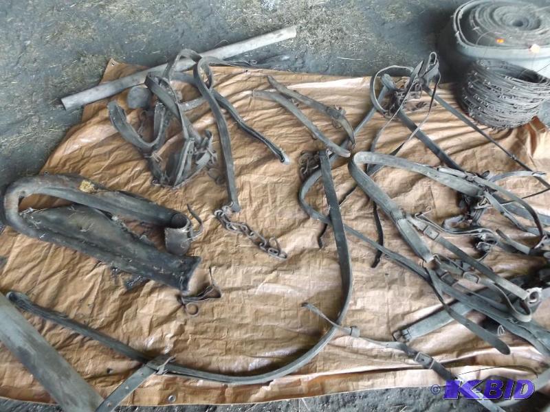 Old horse harnesses and straps and hames &nbs...