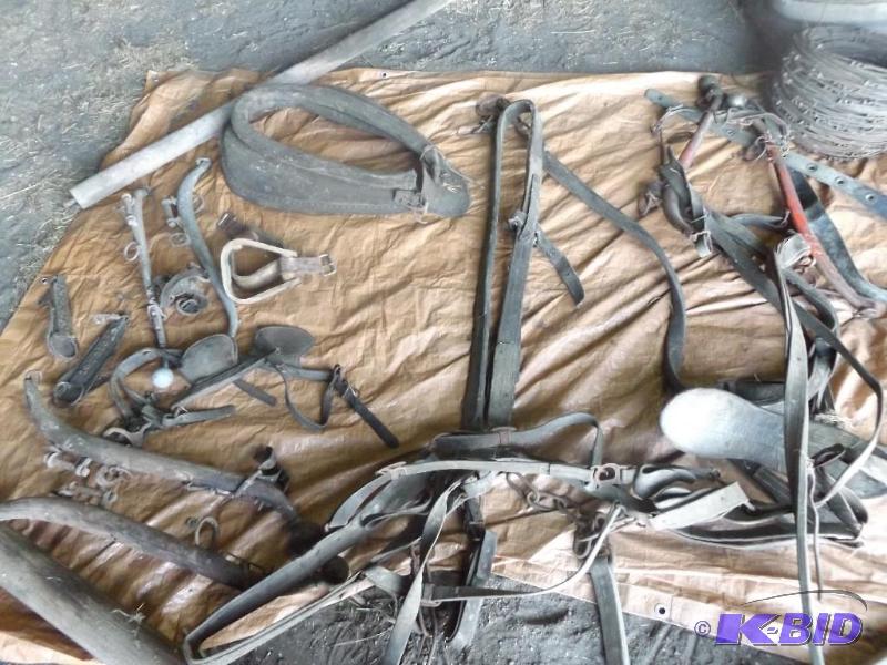 Old horse harnesses and straps and hames &nbs...