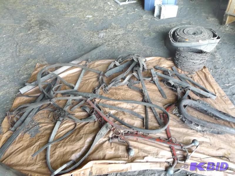 Old horse harnesses and straps and hames &nbs...