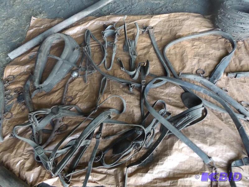 Old horse harnesses and straps and hames &nbs...