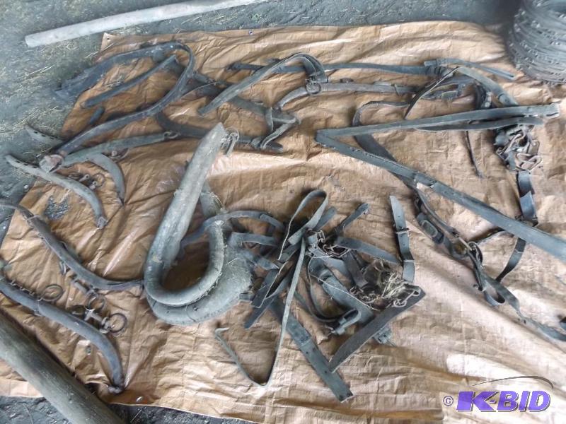 Old horse harnesses and straps and hames &nbs...