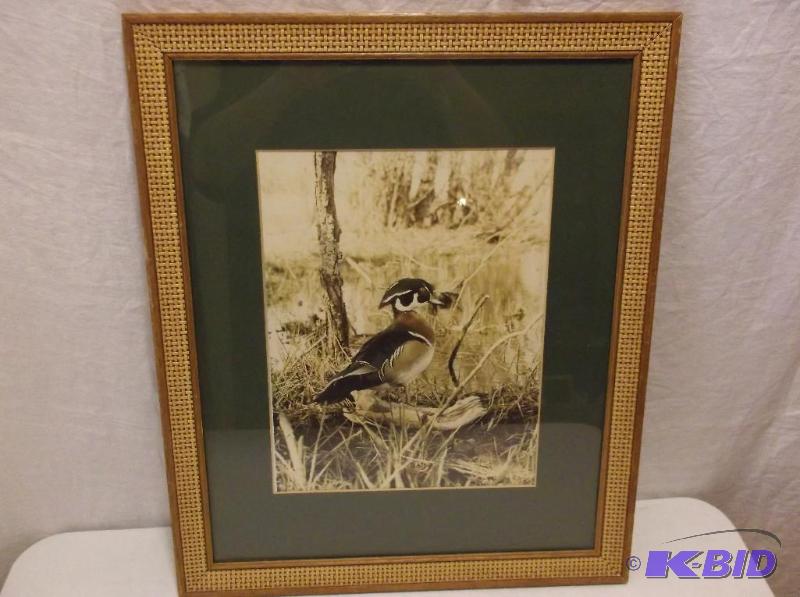 lot 46 image: Nice duck picture in solid wood frame measuri...