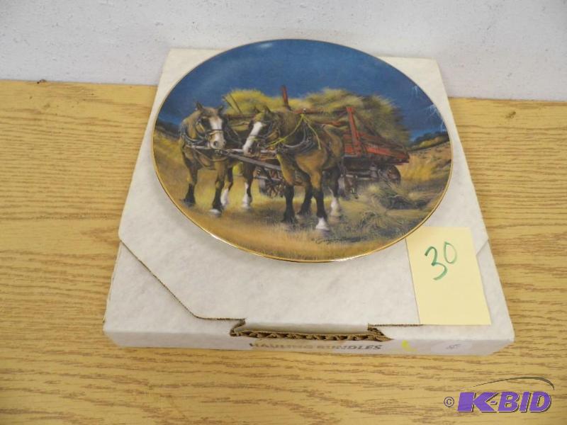 AAA North Dakota Plate