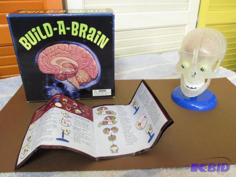 lot 142 image: Build-A-Brain