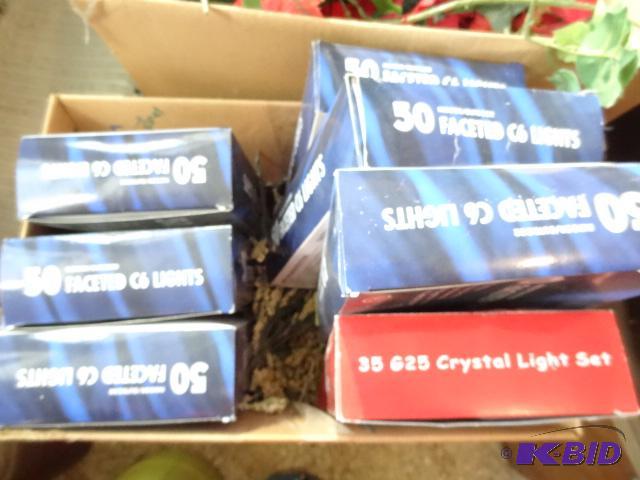 Indoor Outdoor Gaceted C6 Lights. 6 Strands. ...