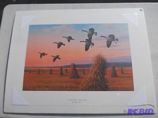 Over The Shocks Canada Geese By Terrill Knaac...