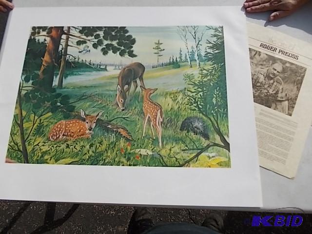 Deer Print By Roger Pruess...