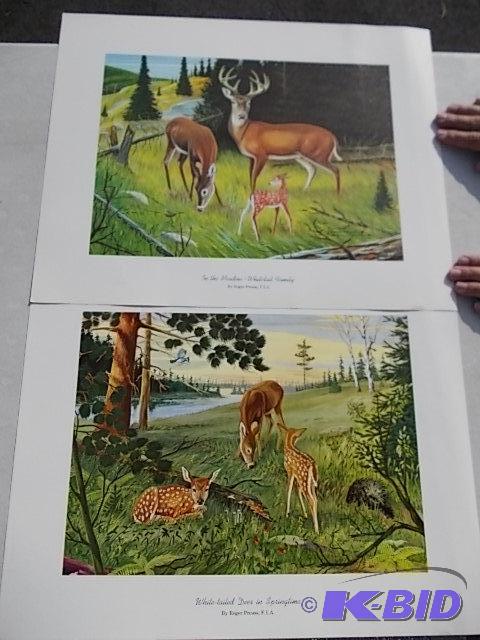 2-Deer Prints By Roger Preuss (In The Meadow,...