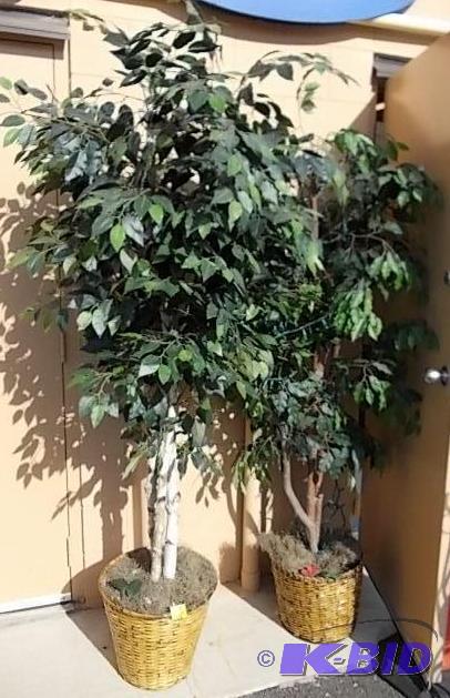 2 Artificial Trees...